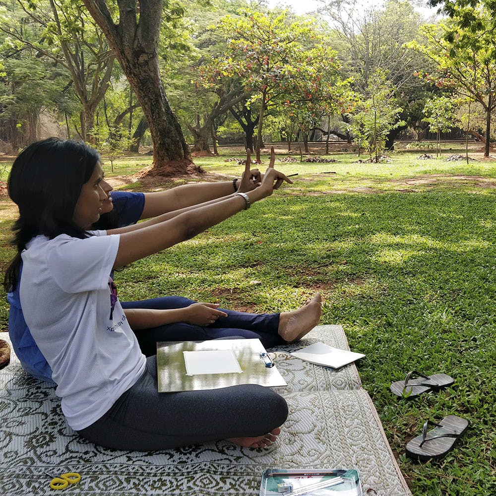 Sitting,Tree,Grass,Botany,Leaf,Leisure,Leg,Adaptation,Recreation,Park