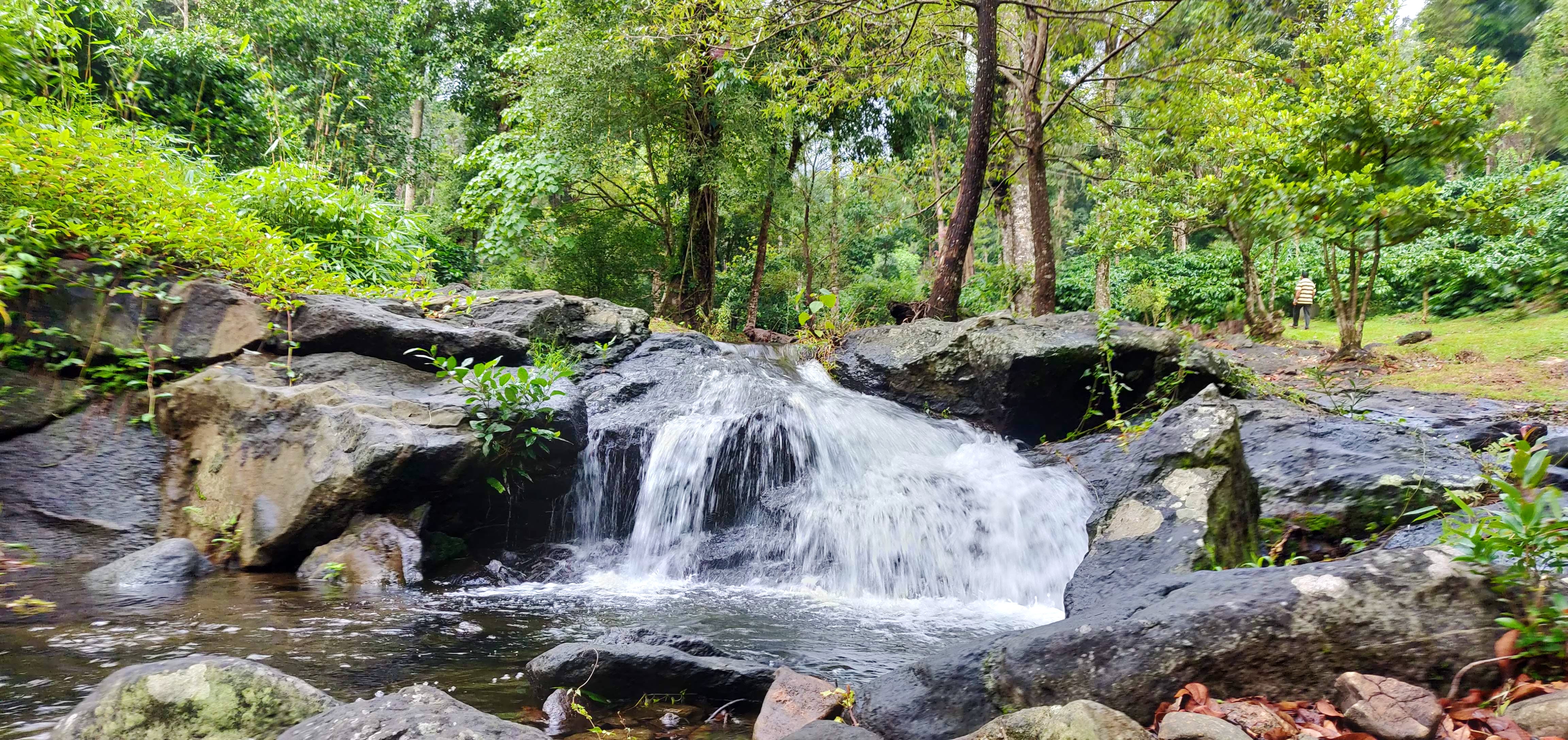 Water resources,Body of water,Natural landscape,Water,Nature,Watercourse,Stream,Nature reserve,Waterfall,Riparian zone