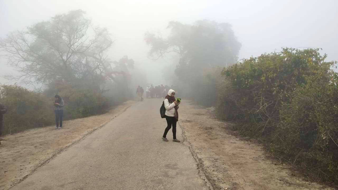 Mist,Atmospheric phenomenon,Fog,Haze,Drizzle,Thoroughfare,Road,Dust