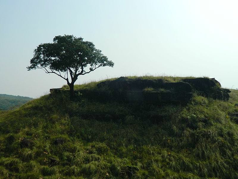 Balpakram National Park - National park - Rongchenggiri - Meghalaya |  Yappe.in