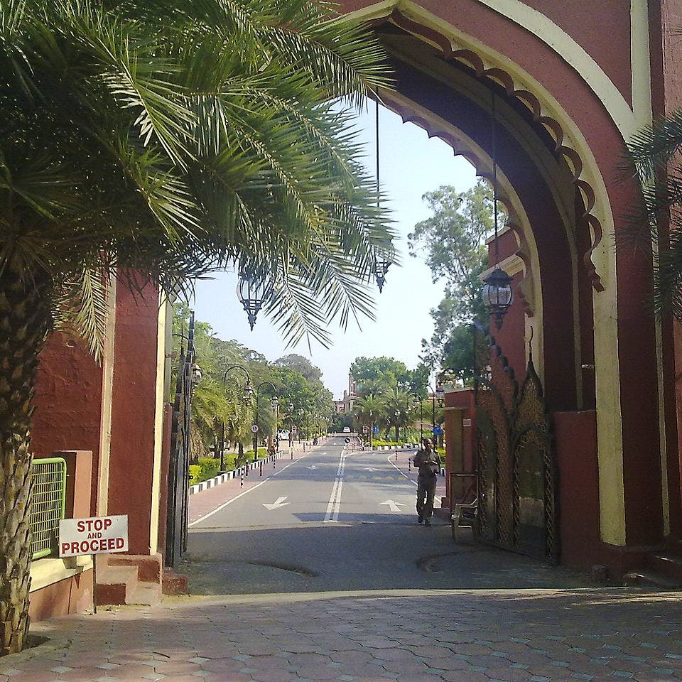 Arch,Tree,Town,Architecture,Street,Road,Infrastructure,Alley,Building,Neighbourhood