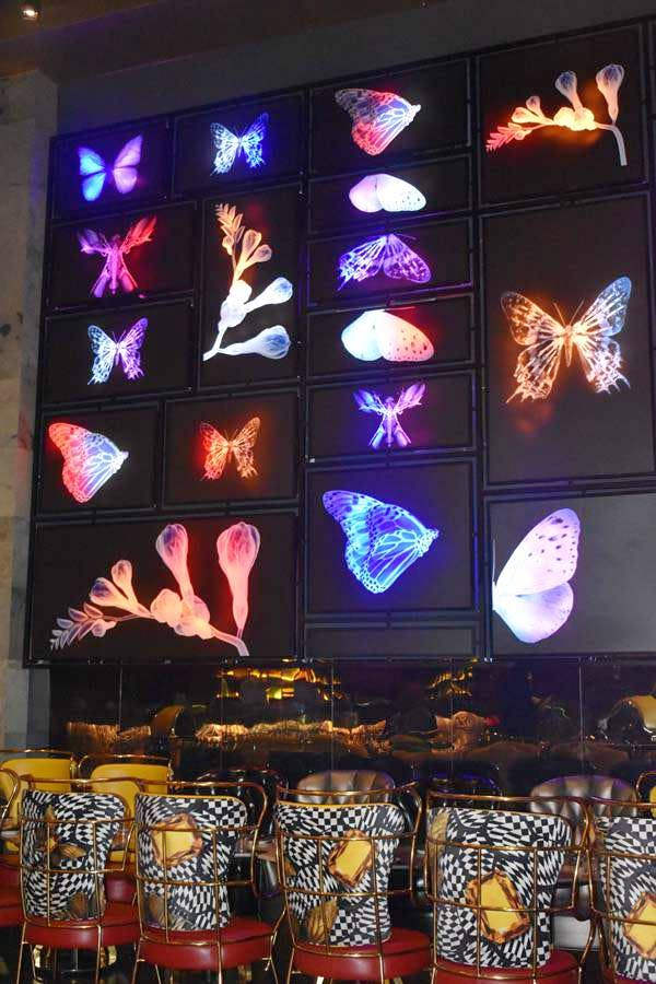 Lighting,Display device,Glass,Window,Technology,Stained glass,Butterfly,Signage