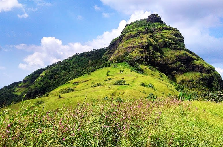 Mountainous landforms,Highland,Mountain,Vegetation,Nature,Natural landscape,Hill,Grassland,Green,Grass