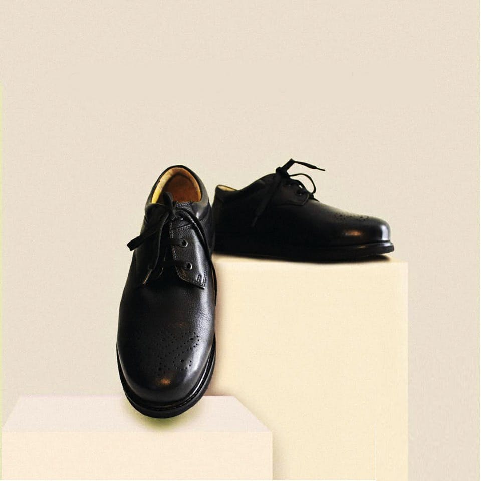 Footwear,Shoe,Oxford shoe,Dress shoe,Leather,Dancing shoe,Athletic shoe