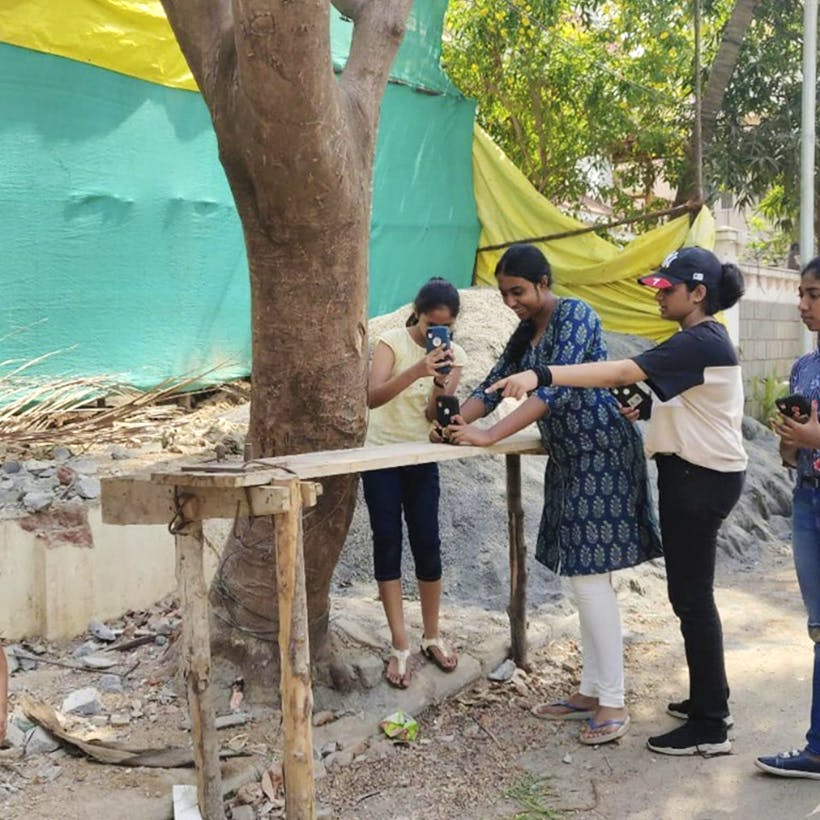 Tree,Community,Adaptation,Woody plant,Plant,Trunk,Leisure,Tourism