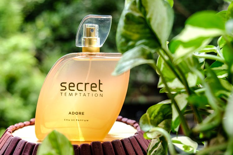 Secret temptation best sale dream perfume review