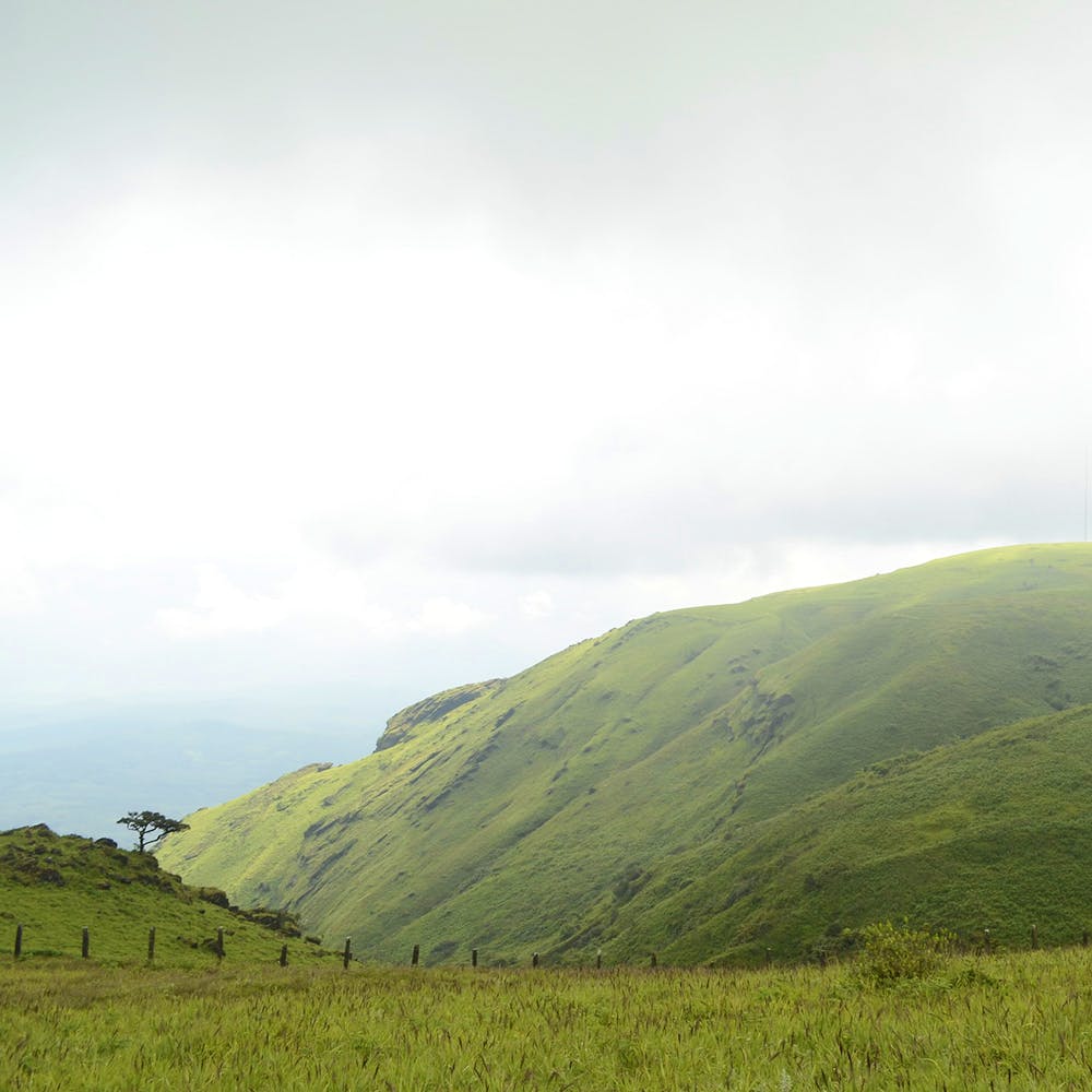 Highland,Mountainous landforms,Grassland,Hill,Mountain,Green,Fell,Hill station,Sky,Pasture