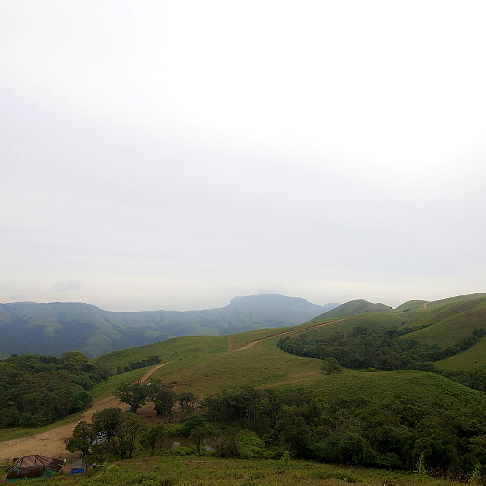 Highland,Mountainous landforms,Hill,Hill station,Atmospheric phenomenon,Green,Mountain,Vegetation,Grassland,Sky