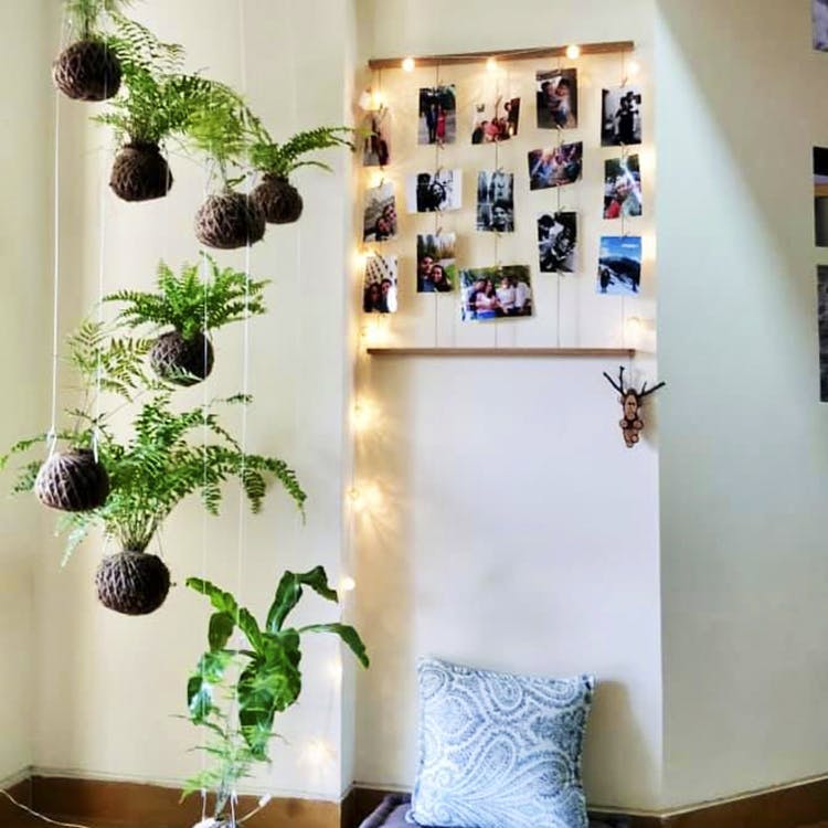 image - Learn The Art Of Making Kokedamas With This Workshop Happening At The Green Hub