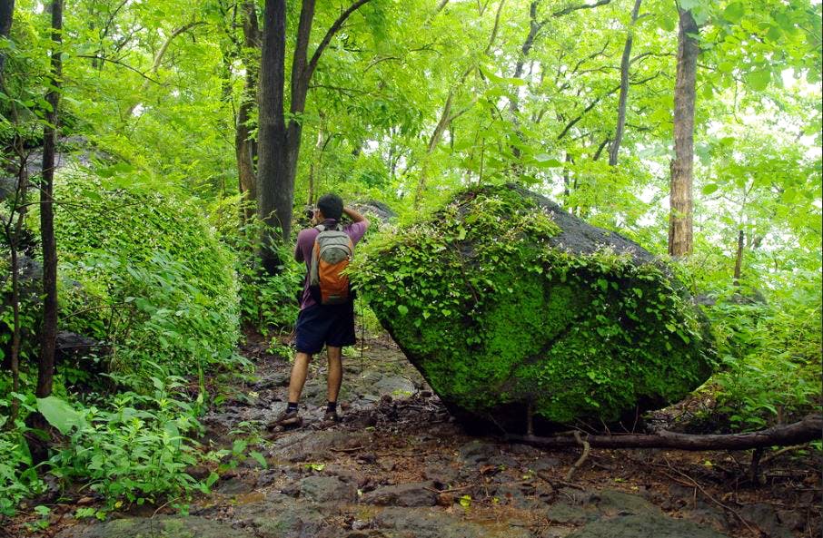 Attend This Photowalk In Sanjay Gandhi Park | LBB, Mumbai