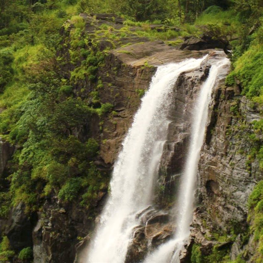 Waterfall,Water resources,Body of water,Natural landscape,Water,Nature,Watercourse,Nature reserve,Chute,Vegetation