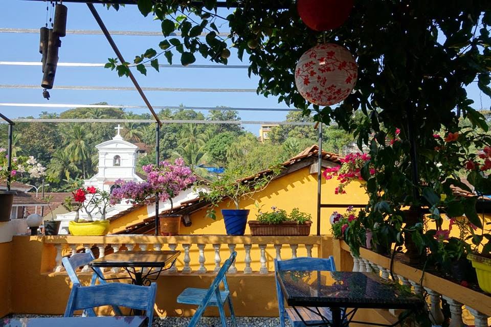 Yellow,Tree,Real estate,Building,Flower,Plant,House,Architecture,Leisure,Vacation