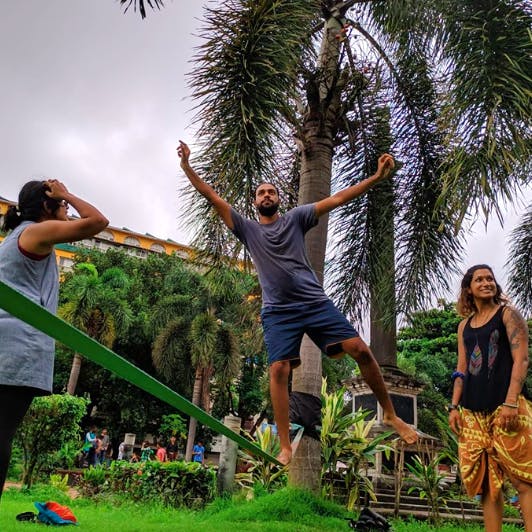 Fun,Tree,Grass,Slacklining,Jumping,Palm tree,Plant,Arecales,Leisure,Adaptation