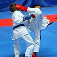 Martial arts uniform,Choi kwang-do,Martial arts,Combat sport,Dobok,Shidokan,Sports,Contact sport,Individual sports,Karate
