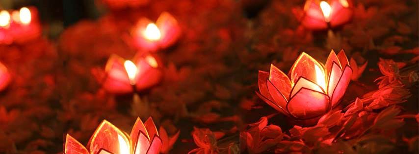 Red,Lighting,Light,Leaf,Petal,Plant,Flower,Tree,Lantern,Event