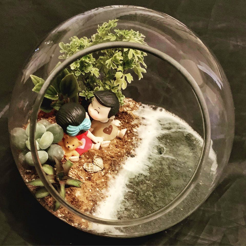 Sphere,Circle,Illustration,Plant,Earth,World,Glass,Still life,Herb,Flowerpot