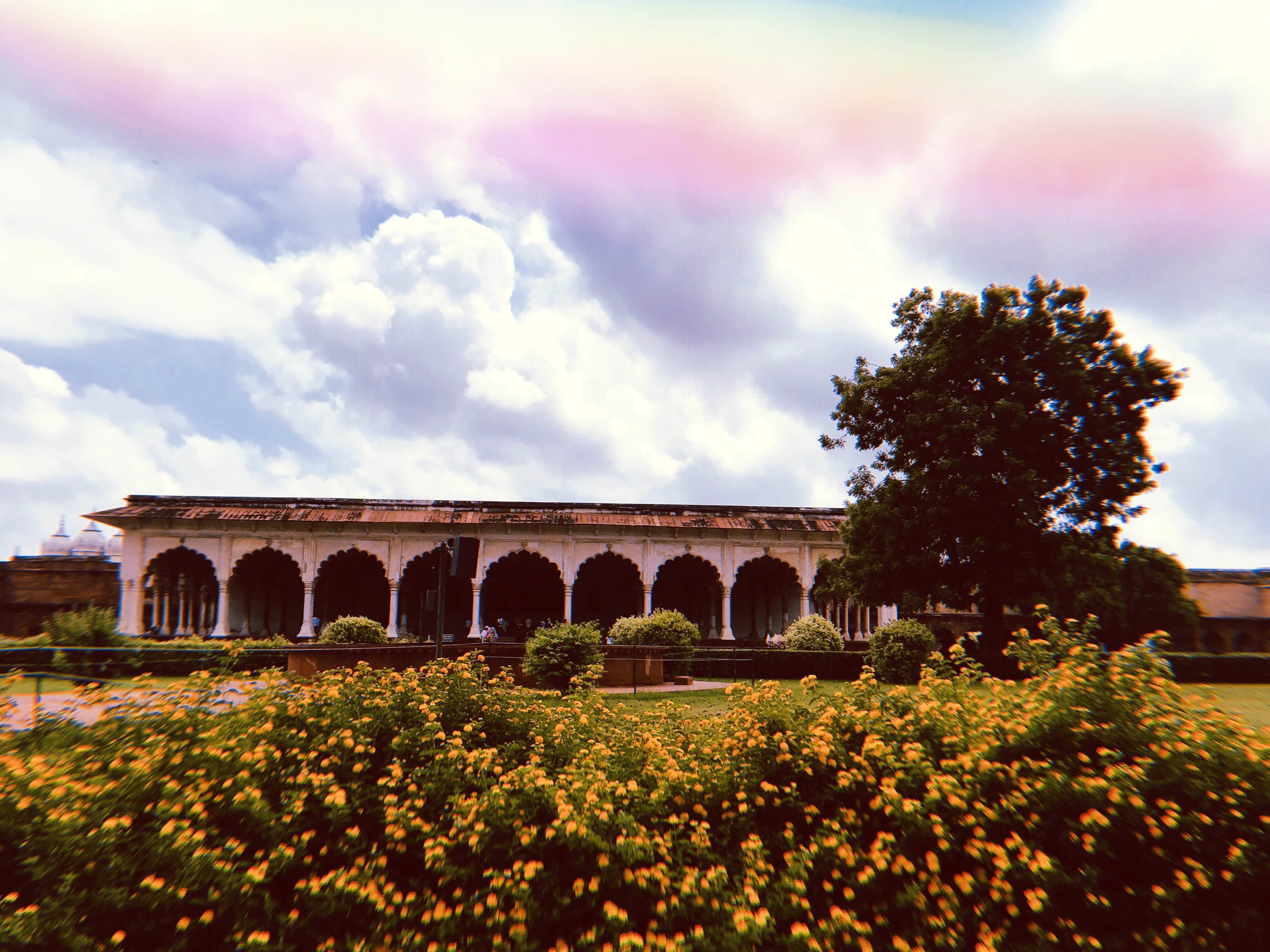 Nature,Sky,Bridge,Morning,Flower,Viaduct,Cloud,Spring,Plant,Aqueduct