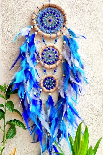 Feather,Blue,Fashion accessory,Wall clock,Plant,Clock
