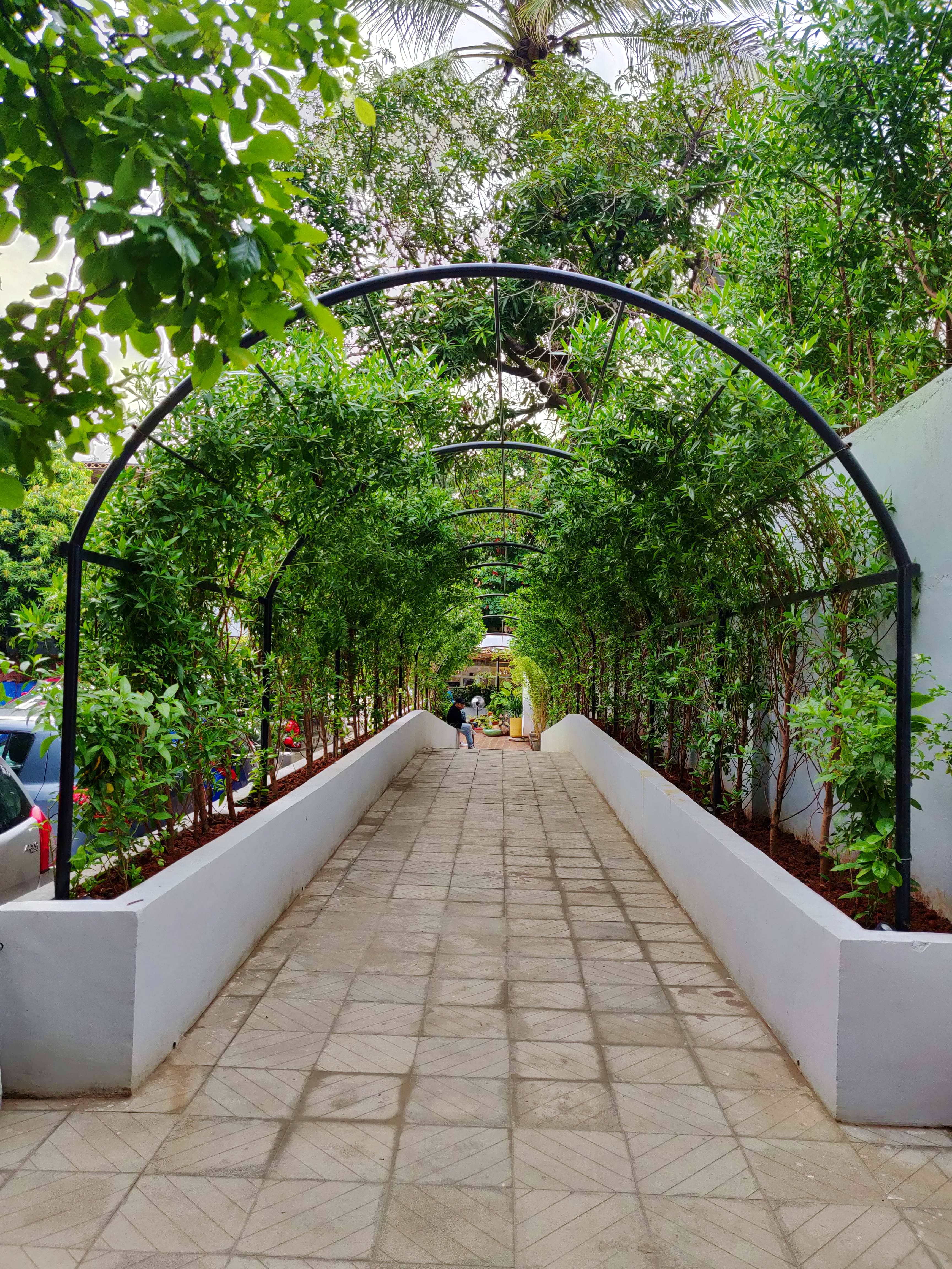 Walkway,Tree,Arch,Architecture,Botany,Plant,Garden,Botanical garden,Shrub,Building