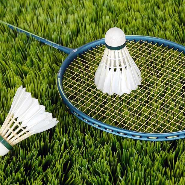 Shuttlecock,Grass,Badminton,Racquet sport,Sports equipment,Speed badminton,Net,Ball badminton