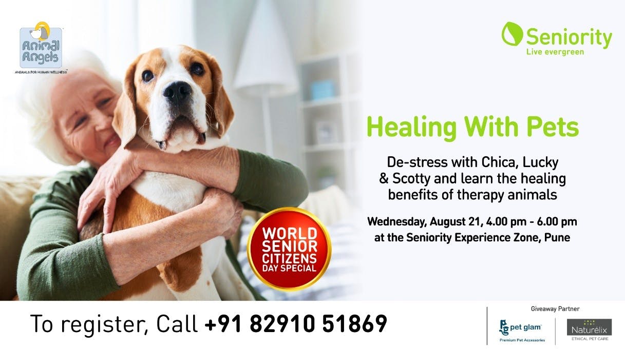 Pet Therapy Workshop By Seniority | LBB Pune