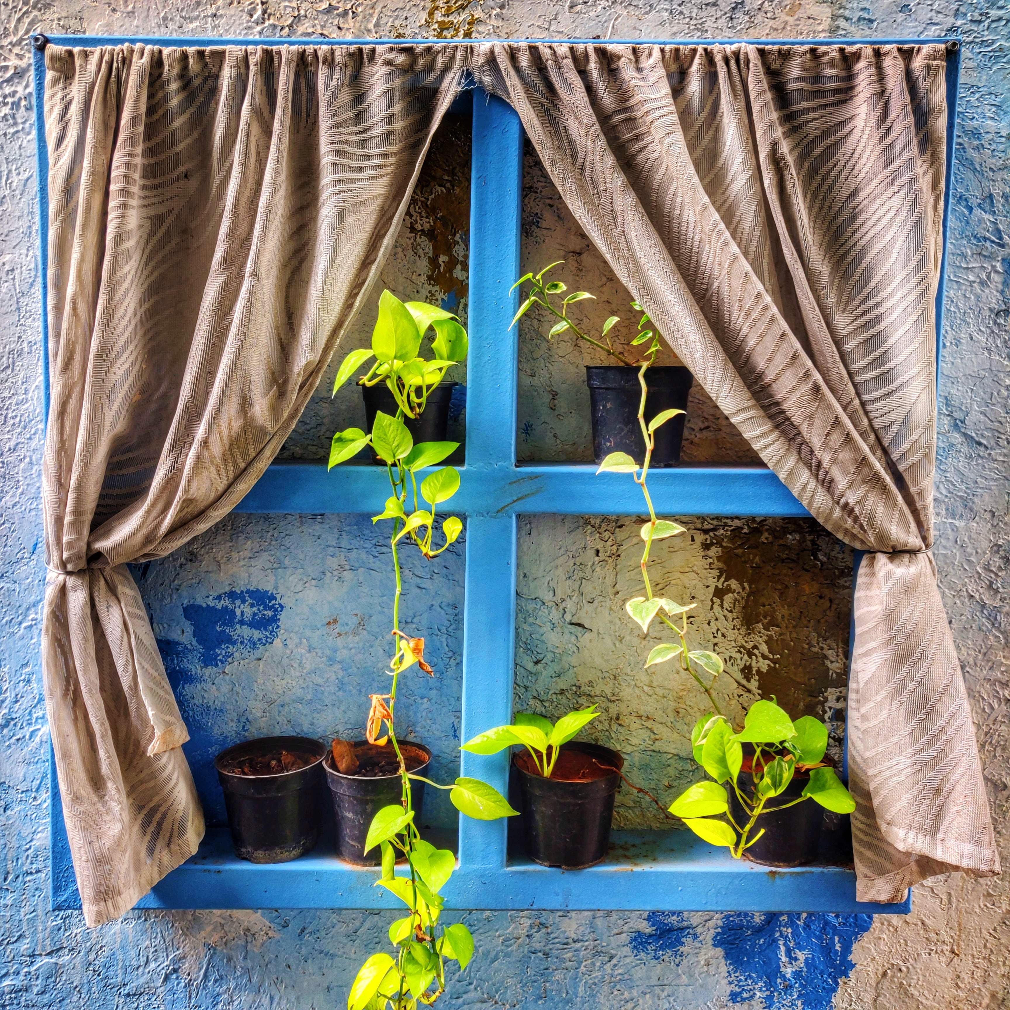Curtain,Window treatment,Blue,Interior design,Textile,Window,Majorelle blue,Room,Interior design,House