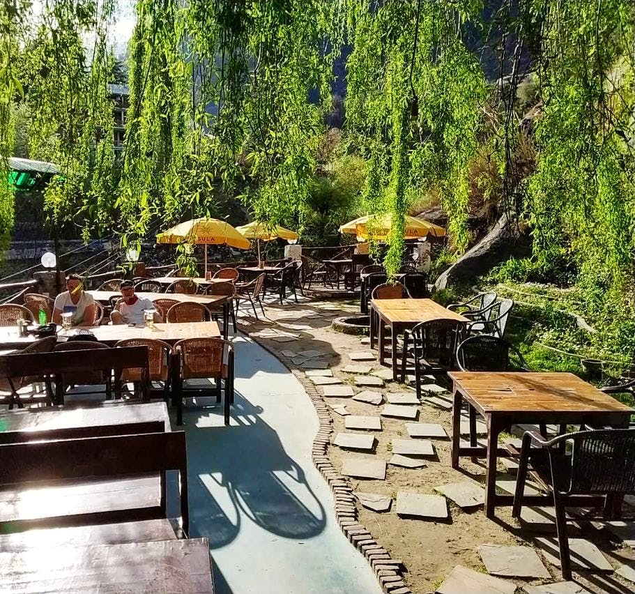Table,Restaurant,Natural environment,Tree,Patio,Furniture,Brunch,Outdoor table,Lunch,Leisure