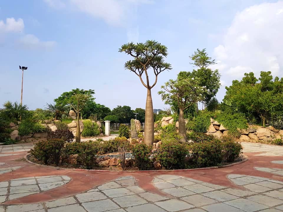 Tree,Property,Sky,Botany,Garden,Botanical garden,Plant,Landscape,Landscaping,Real estate
