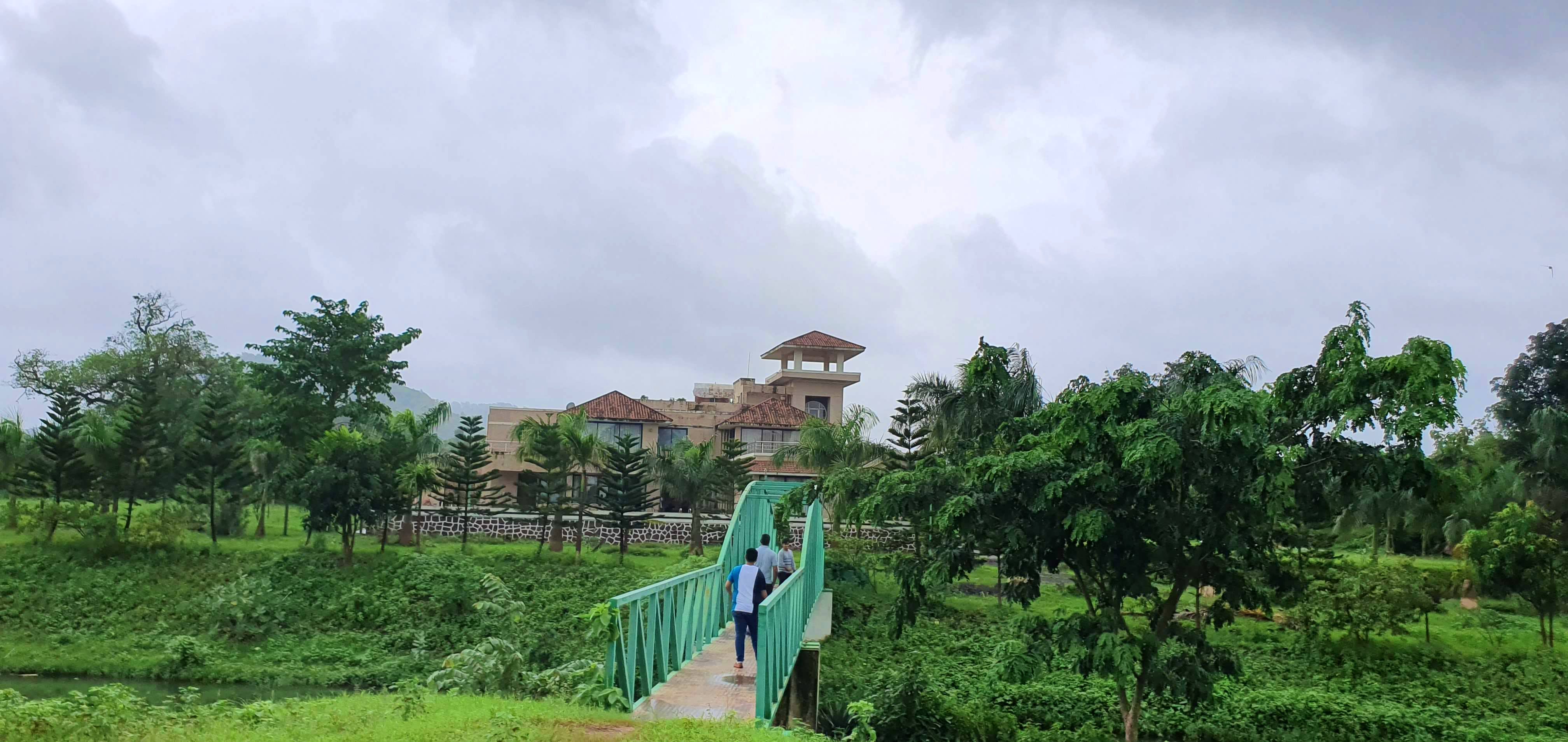 Vegetation,Green,Hill station,Nature reserve,Botany,Tree,Tourism,Botanical garden,Rural area,Grass