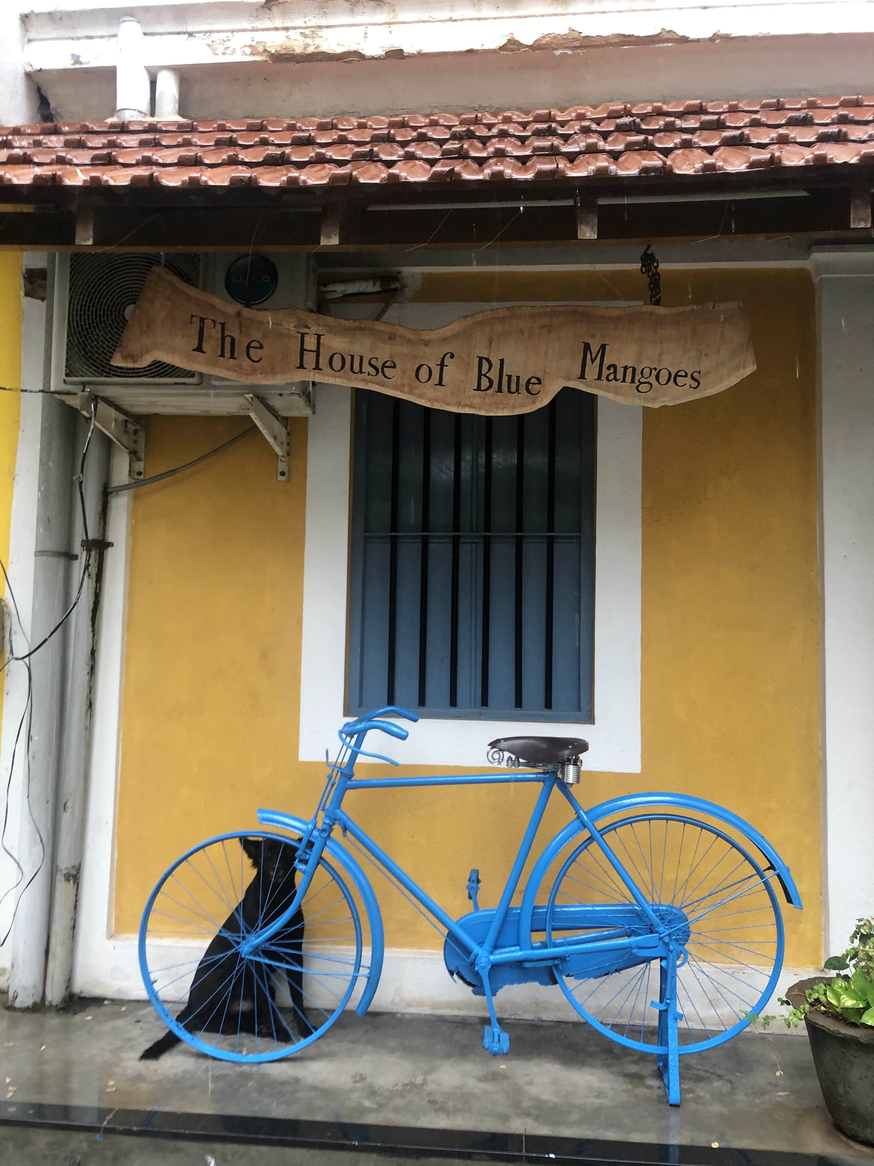 Bicycle,Blue,Bicycle wheel,Yellow,Vehicle,Wall,Bicycle part,Snapshot,Door,Architecture