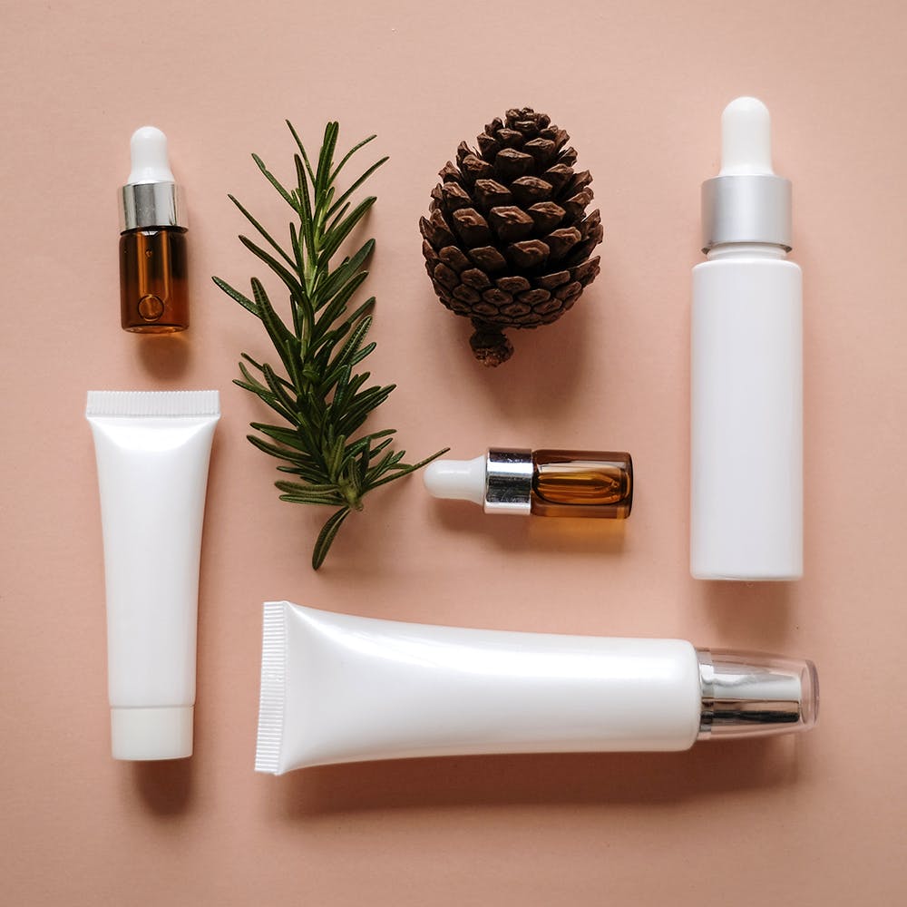 Product,Tree,Plant,Pine,Cosmetics,Pine family,Bottle,Conifer,Fir