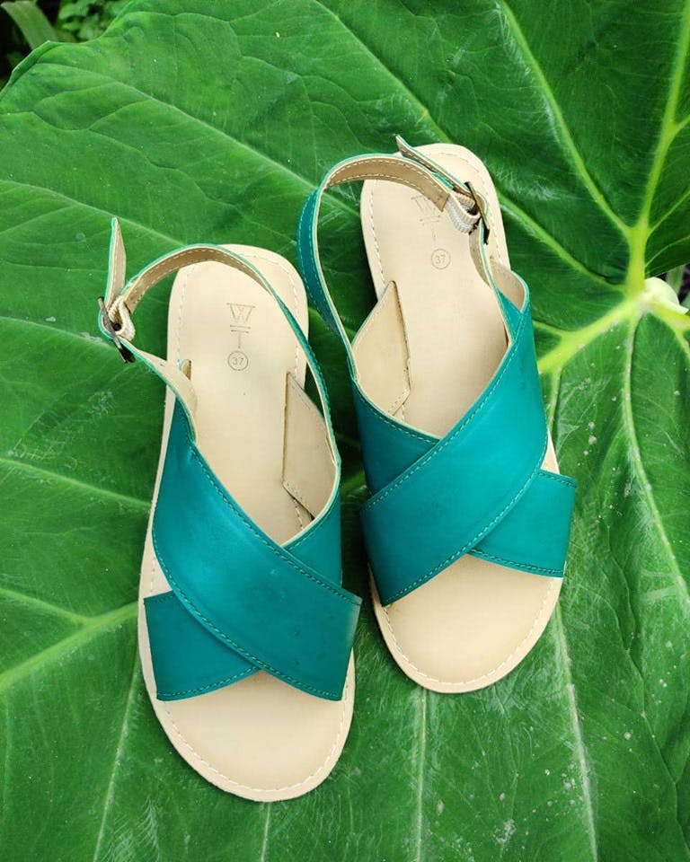 Footwear,Green,Shoe,Sandal,Flip-flops,Leaf