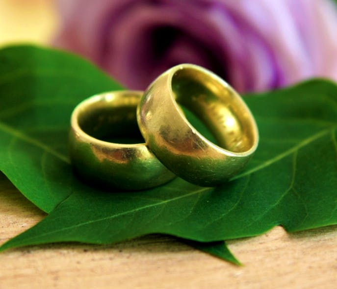Leaf,Ring,Jewellery,Fashion accessory,Wedding ring,Brass,Plant,Wedding ceremony supply,Metal