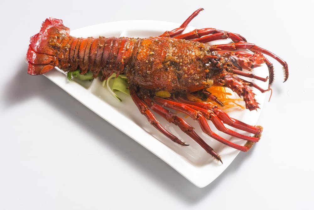 American lobster,Lobster,Spiny lobster,Food,Botan shrimp,Homarus,Crayfish,Seafood,Decapoda,Cuisine