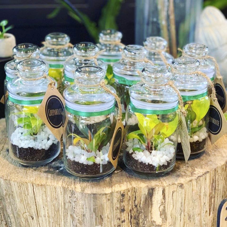 Learn To Make A Sealed Terrarium LBB, Bangalore