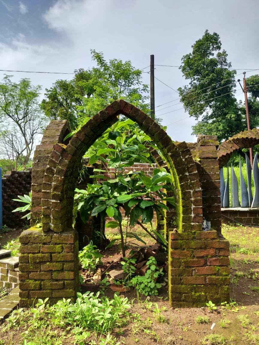 Arch,Vegetation,Architecture,Wall,Ruins,Tree,Botany,Brick,Leaf,Iron