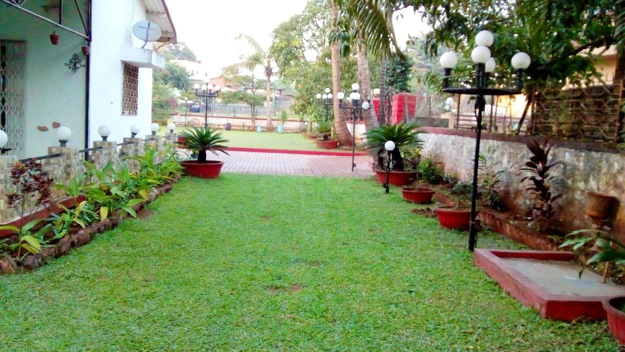 Lawn,Grass,Property,Yard,Backyard,Garden,Courtyard,Landscape,Real estate,Landscaping