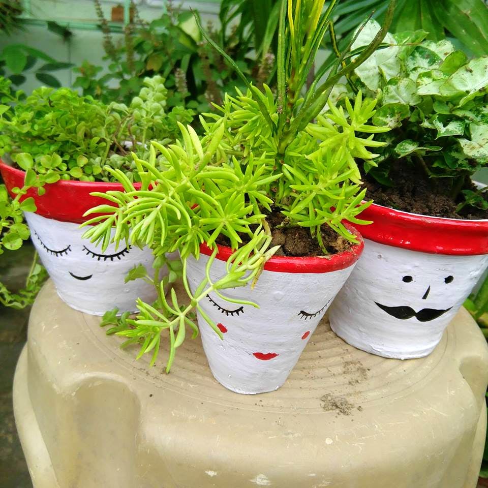 Flowerpot,Plant,Herb,Flower,Houseplant,Grass,Garden,Ceramic,Fines herbes