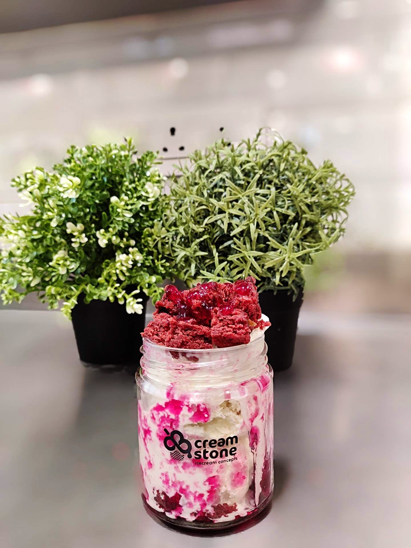 Mason jar,Flowerpot,Flower,Pink,Plant,Grass,Herb,Houseplant,Shrub,Glass