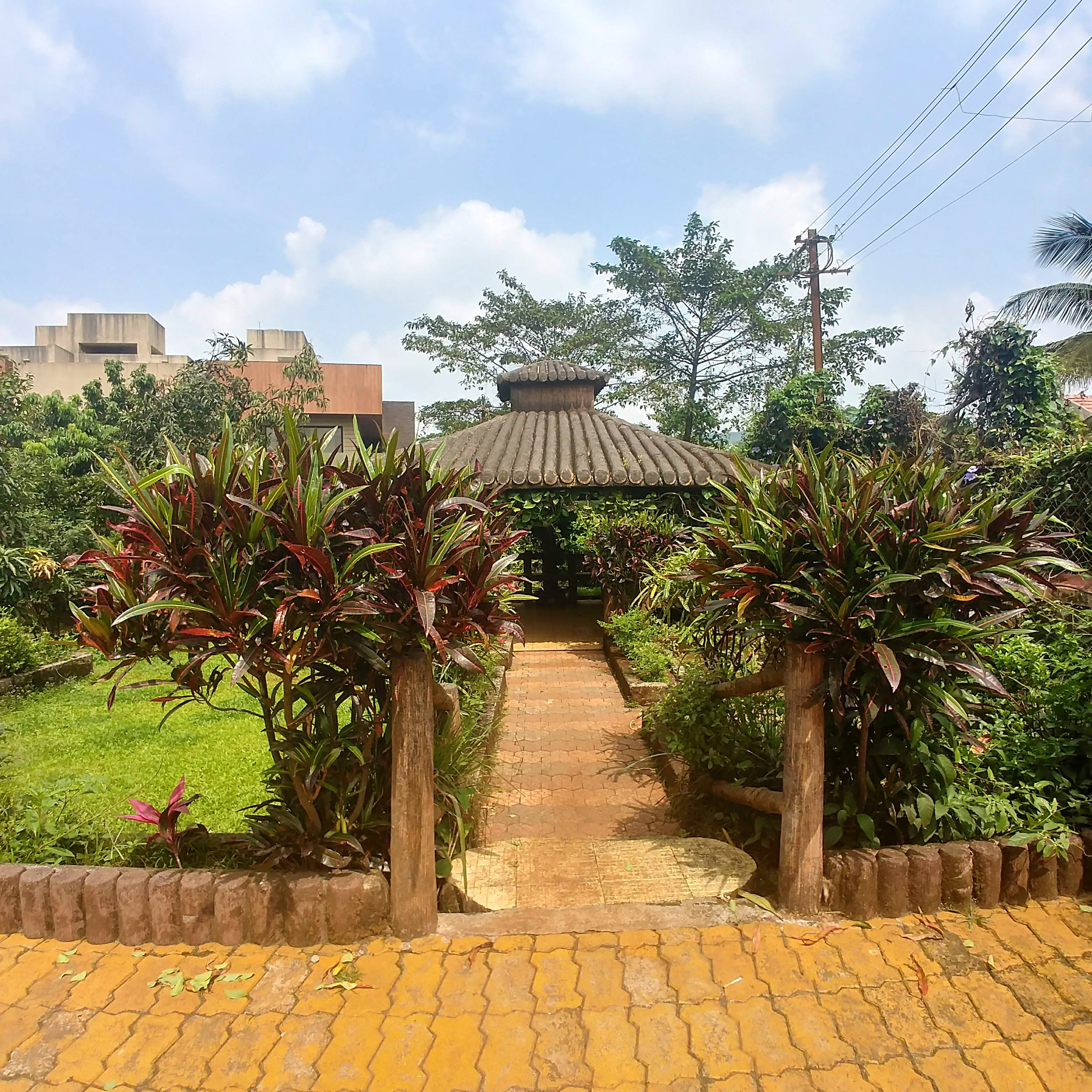 Vegetation,Sky,Property,Tree,Botany,House,Real estate,Plant,Tourism,Vacation