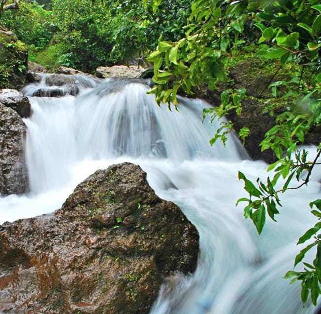 Waterfall,Water resources,Body of water,Natural landscape,Watercourse,Water,Nature,Vegetation,Nature reserve,Stream