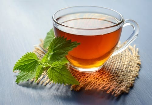 Chinese herb tea,Leaf,Drink,Roasted barley tea,Herb,Plant,Herbal,Mint,Ingredient,Food