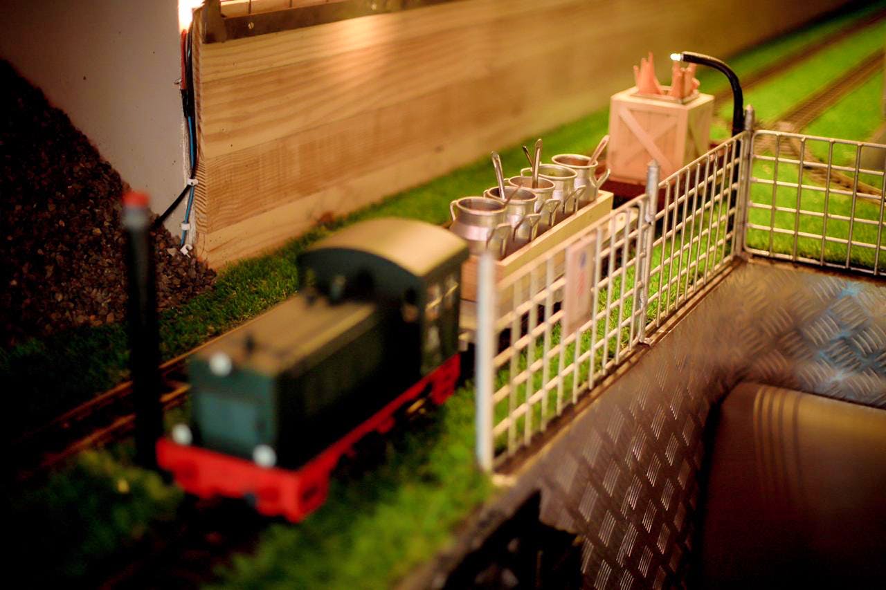 Scale model,Transport,Grass,Miniature,Wood,Vehicle,House,Railway,Train