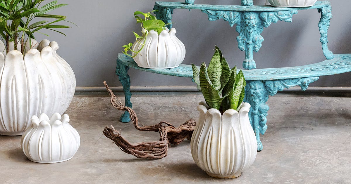 Head To Beruru For Garden Decor And Plants LBB, Bangalore