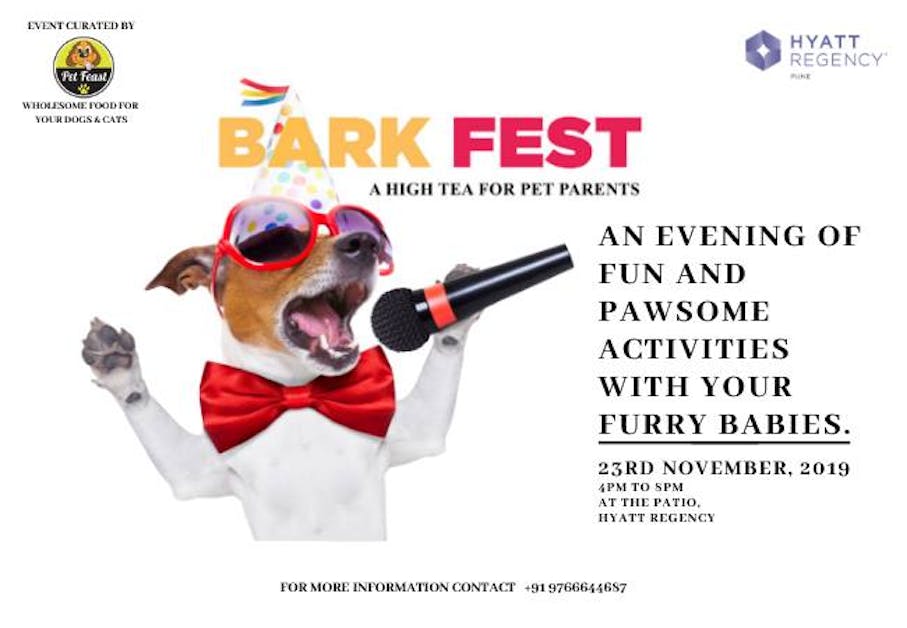 Bark Fest 2019 Pune LBB Pune