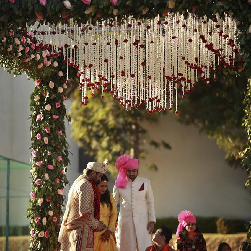 Tradition,Spring,Tree,Event,Adaptation,Ceremony,Temple,Plant,Flower,Marriage