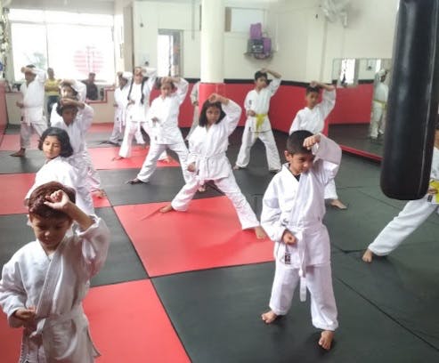 Martial arts uniform,Karate,Dobok,Martial arts,Japanese martial arts,Individual sports,Contact sport,Sports,Youth,Taekwondo