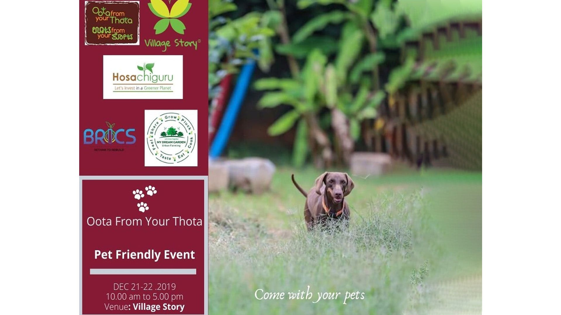 Puppy,Canidae,Organism,Sporting Group,Wildlife,Brochure,Flyer,Dog breed,Dog supply,Advertising