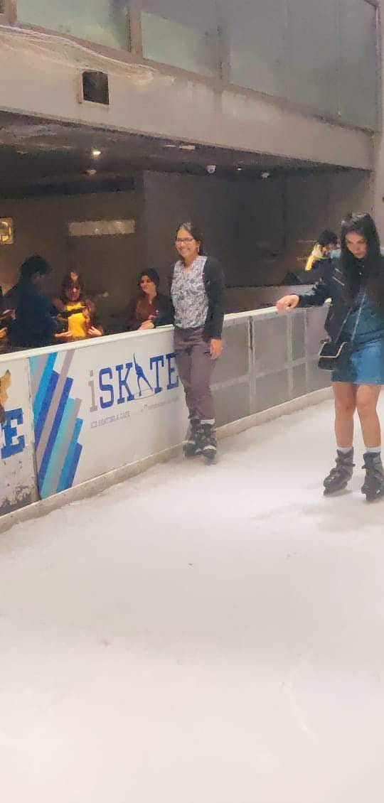 Ice skating,Skating,Ice rink,Footwear,Recreation,Ice skate,Ice,Sports equipment,Roller skating