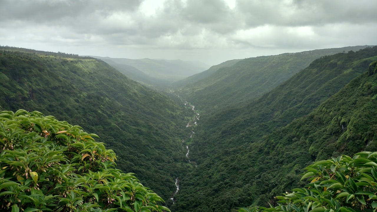 Highland,Mountainous landforms,Hill station,Vegetation,Mountain,Nature,Natural landscape,Hill,Nature reserve,Valley